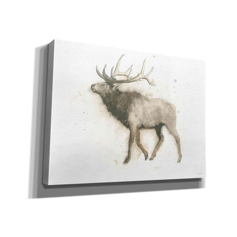 Image of 'Elk' by James Wiens, Canvas Wall Art,16x12x1.1x0,26x18x1.1x0,34x26x1.74x0,54x40x1.74x0