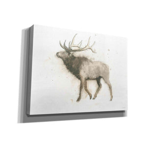 'Elk' by James Wiens, Canvas Wall Art,16x12x1.1x0,26x18x1.1x0,34x26x1.74x0,54x40x1.74x0