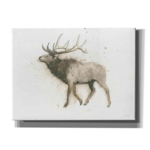 Image of 'Elk' by James Wiens, Canvas Wall Art,16x12x1.1x0,26x18x1.1x0,34x26x1.74x0,54x40x1.74x0