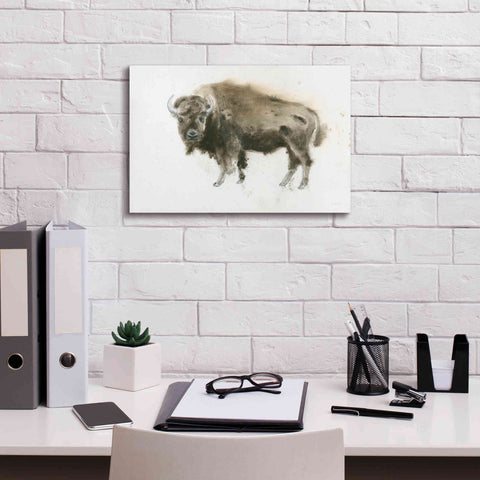 Image of 'Buffalo Bill' by James Wiens, Canvas Wall Art,18 x 12