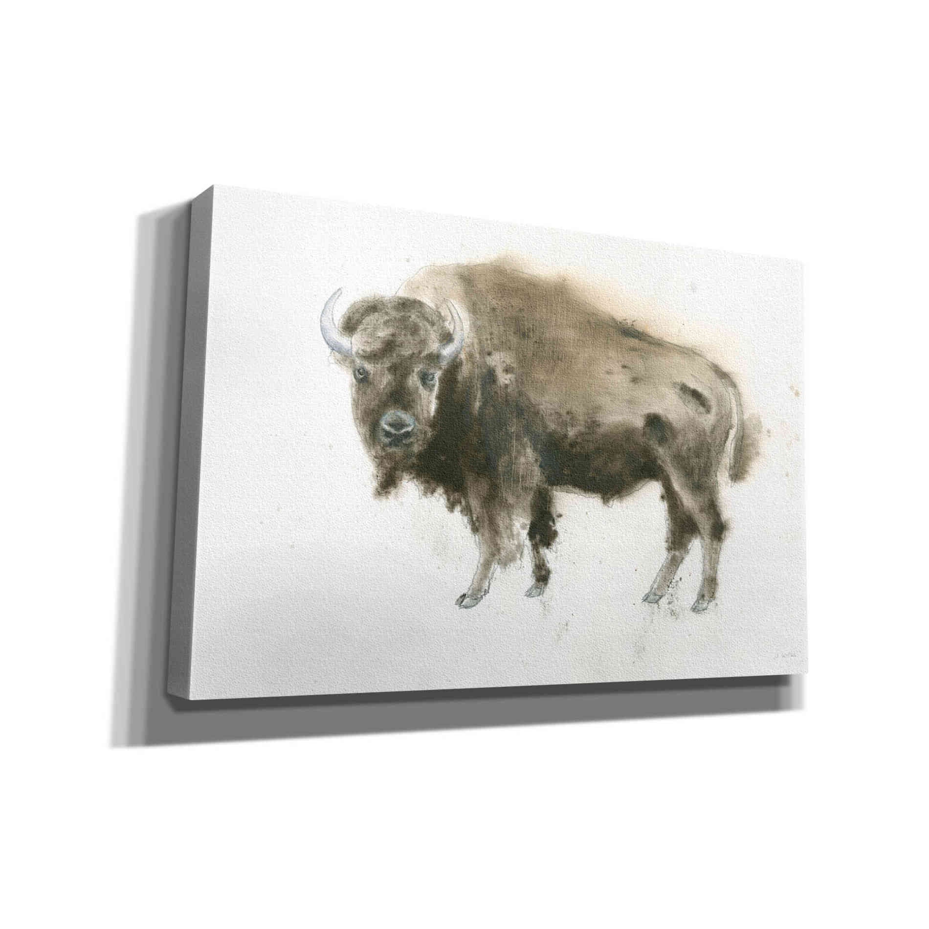 'Buffalo Bill' by James Wiens, Canvas Wall Art,18x12x1.1x0,26x18x1.1x0,40x26x1.74x0,60x40x1.74x0