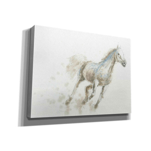 Image of 'Stallion I Horizontal' by James Wiens, Canvas Wall Art,16x12x1.1x0,24x20x1.1x0,30x26x1.74x0,54x40x1.74x0