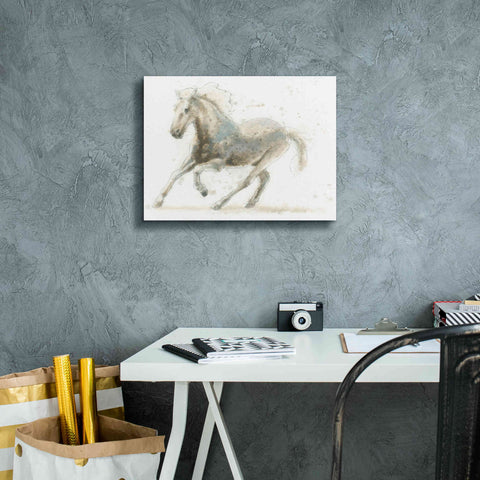Image of 'Stallion II Horizontal' by James Wiens, Canvas Wall Art,16 x 12