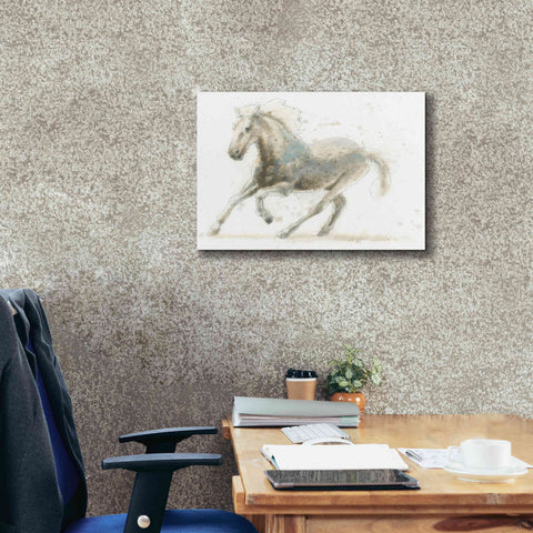 Image of 'Stallion II Horizontal' by James Wiens, Canvas Wall Art,24 x 20