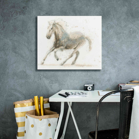 Image of 'Stallion II Horizontal' by James Wiens, Canvas Wall Art,24 x 20