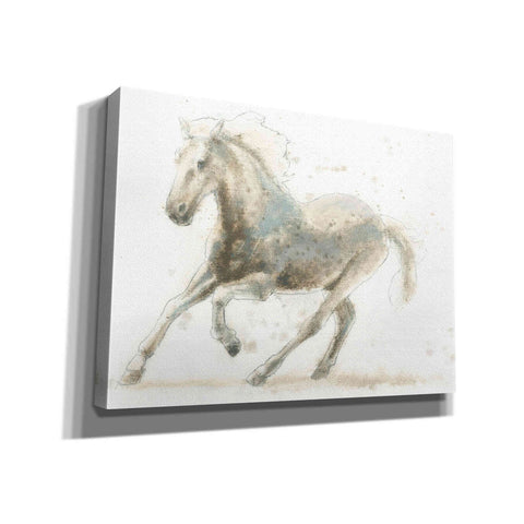 Image of 'Stallion II Horizontal' by James Wiens, Canvas Wall Art,16x12x1.1x0,24x20x1.1x0,30x26x1.74x0,54x40x1.74x0