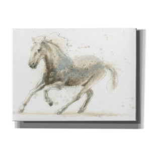 'Stallion II Horizontal' by James Wiens, Canvas Wall Art,16x12x1.1x0,24x20x1.1x0,30x26x1.74x0,54x40x1.74x0