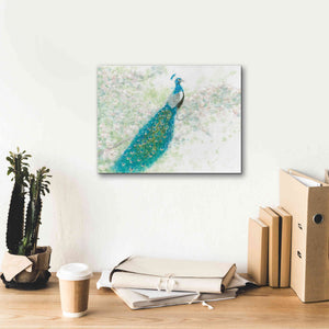 'Spring Peacock I' by James Wiens, Canvas Wall Art,16 x 12