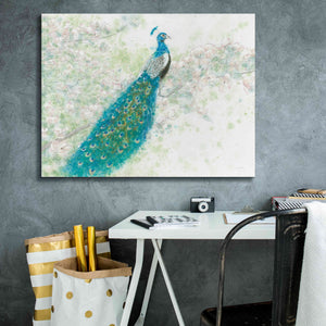 'Spring Peacock I' by James Wiens, Canvas Wall Art,34 x 26