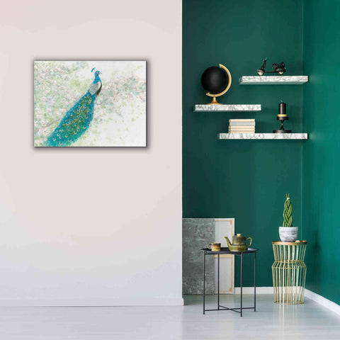 Image of 'Spring Peacock I' by James Wiens, Canvas Wall Art,34 x 26