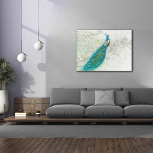'Spring Peacock I' by James Wiens, Canvas Wall Art,54 x 40