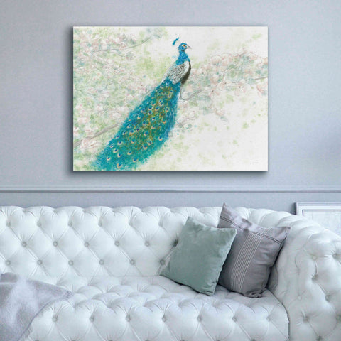 Image of 'Spring Peacock I' by James Wiens, Canvas Wall Art,54 x 40