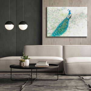 'Spring Peacock I' by James Wiens, Canvas Wall Art,54 x 40