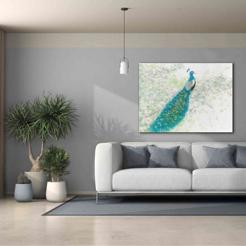 Image of 'Spring Peacock I' by James Wiens, Canvas Wall Art,54 x 40