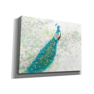 'Spring Peacock I' by James Wiens, Canvas Wall Art,16x12x1.1x0,26x18x1.1x0,34x26x1.74x0,54x40x1.74x0