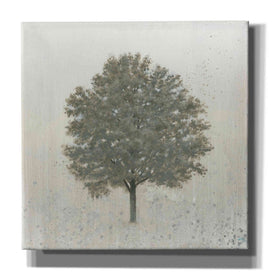 'Neutrality' by James Wiens, Canvas Wall Art,12x12x1.1x0,18x18x1.1x0,26x26x1.74x0,37x37x1.74x0