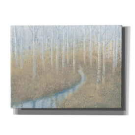 'Silver Waters' by James Wiens, Canvas Wall Art,16x12x1.1x0,26x18x1.1x0,34x26x1.74x0,54x40x1.74x0