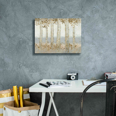 Image of 'Magnificent Birch Grove' by James Wiens, Canvas Wall Art,16 x 12