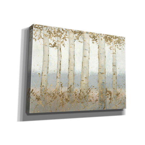 Image of 'Magnificent Birch Grove' by James Wiens, Canvas Wall Art,16x12x1.1x0,26x18x1.1x0,34x26x1.74x0,54x40x1.74x0
