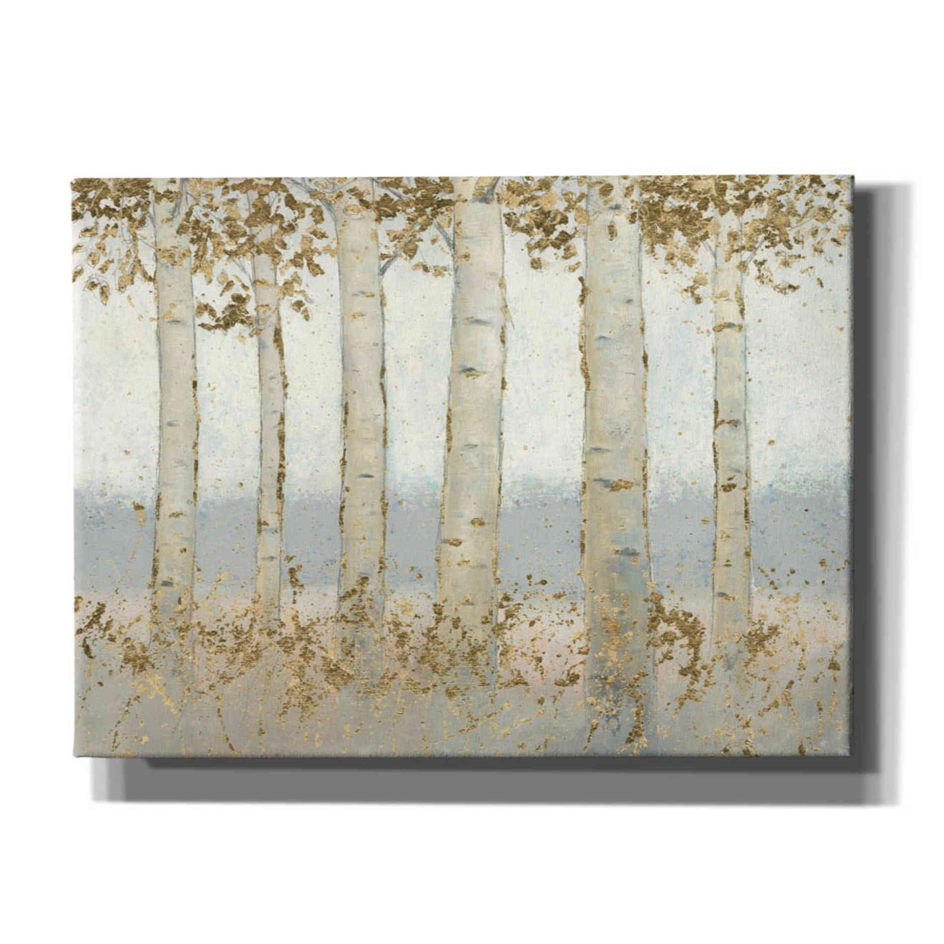 'Magnificent Birch Grove' by James Wiens, Canvas Wall Art,16x12x1.1x0,26x18x1.1x0,34x26x1.74x0,54x40x1.74x0