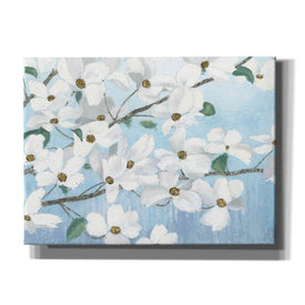 'Graceful Touch' by James Wiens, Canvas Wall Art,16x12x1.1x0,26x18x1.1x0,34x26x1.74x0,54x40x1.74x0