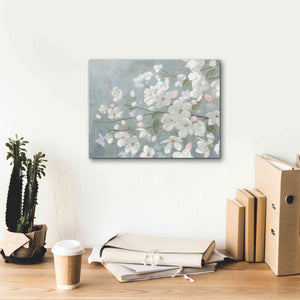 'Spring Beautiful' by James Wiens, Canvas Wall Art,16 x 12