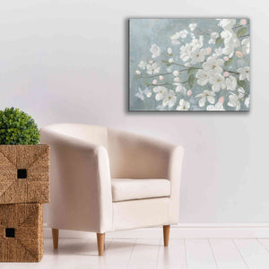'Spring Beautiful' by James Wiens, Canvas Wall Art,34 x 26