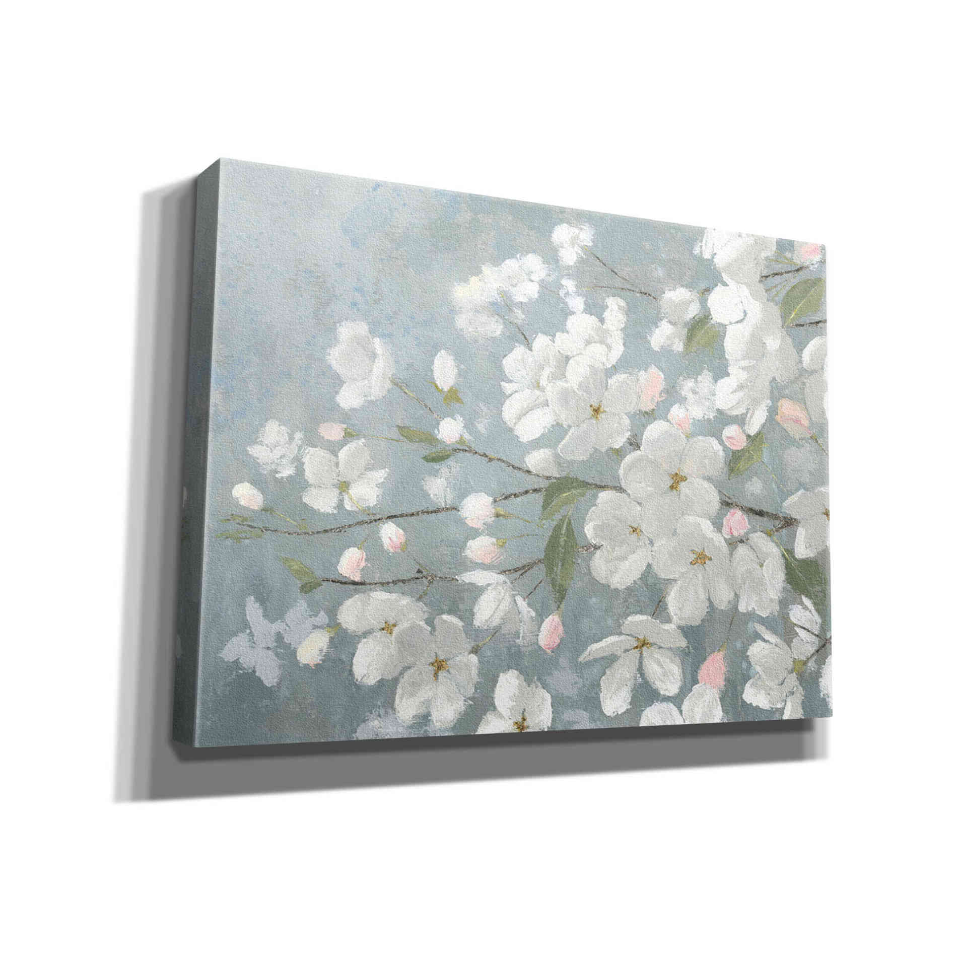 'Spring Beautiful' by James Wiens, Canvas Wall Art,16x12x1.1x0,26x18x1.1x0,34x26x1.74x0,54x40x1.74x0