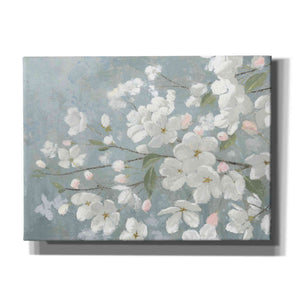 'Spring Beautiful' by James Wiens, Canvas Wall Art,16x12x1.1x0,26x18x1.1x0,34x26x1.74x0,54x40x1.74x0
