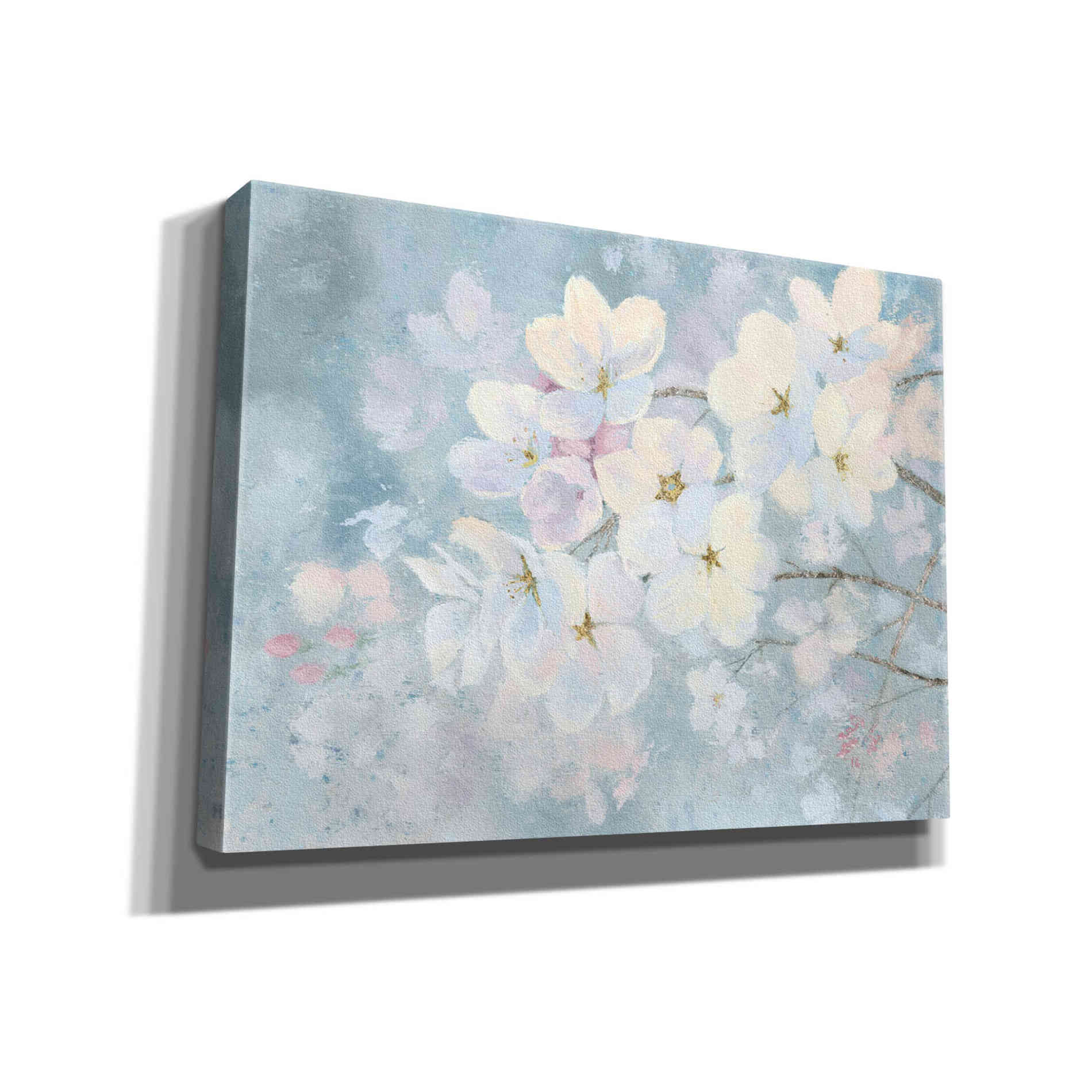 'Splendid Bloom' by James Wiens, Canvas Wall Art,16x12x1.1x0,26x18x1.1x0,34x26x1.74x0,54x40x1.74x0