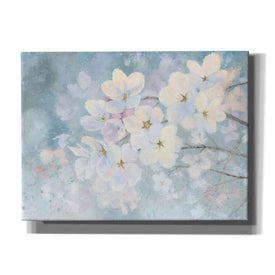 'Splendid Bloom' by James Wiens, Canvas Wall Art,16x12x1.1x0,26x18x1.1x0,34x26x1.74x0,54x40x1.74x0