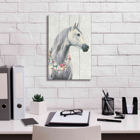 Image of 'Spirit Stallion I on wood' by James Wiens, Canvas Wall Art,12 x 18