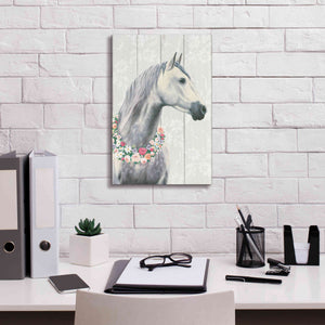 'Spirit Stallion I on wood' by James Wiens, Canvas Wall Art,12 x 18