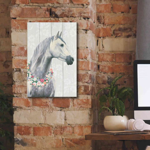 Image of 'Spirit Stallion I on wood' by James Wiens, Canvas Wall Art,12 x 18