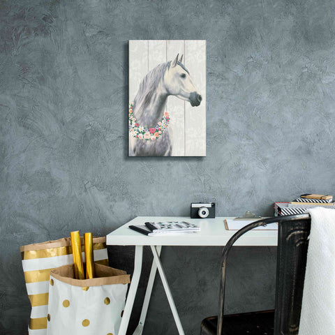 Image of 'Spirit Stallion I on wood' by James Wiens, Canvas Wall Art,12 x 18