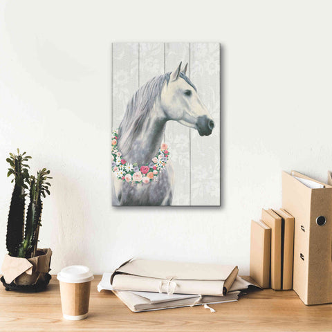 Image of 'Spirit Stallion I on wood' by James Wiens, Canvas Wall Art,12 x 18