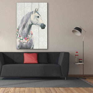 'Spirit Stallion I on wood' by James Wiens, Canvas Wall Art,40 x 60