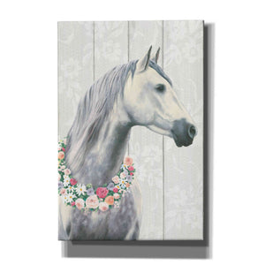 'Spirit Stallion I on wood' by James Wiens, Canvas Wall Art,12x18x1.1x0,18x26x1.1x0,26x40x1.74x0,40x60x1.74x0