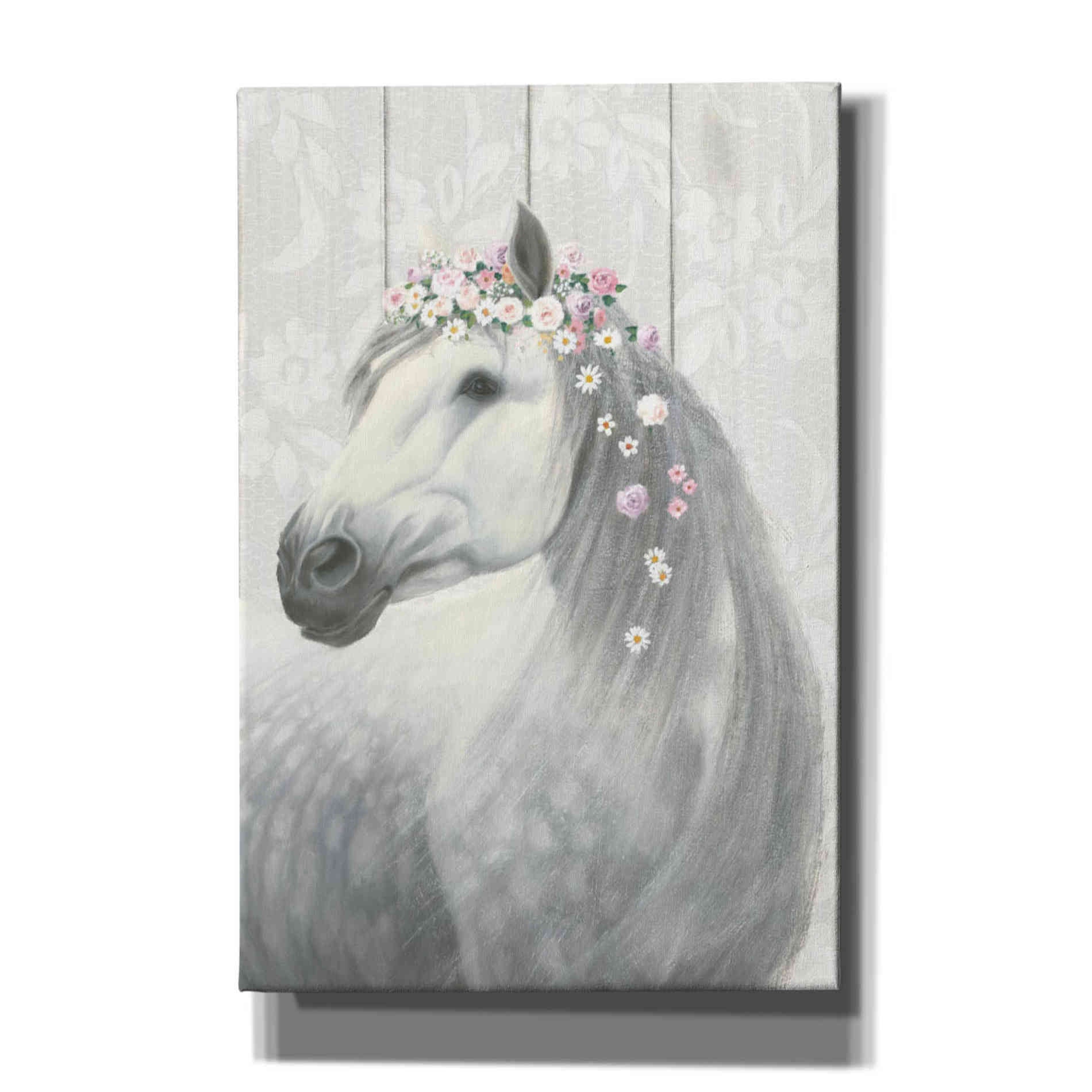 'Spirit Stallion II on wood' by James Wiens, Canvas Wall Art,12x18x1.1x0,18x26x1.1x0,26x40x1.74x0,40x60x1.74x0