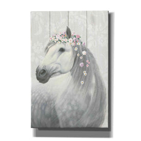 'Spirit Stallion II on wood' by James Wiens, Canvas Wall Art,12x18x1.1x0,18x26x1.1x0,26x40x1.74x0,40x60x1.74x0