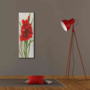 'Red Simplicity I' by James Wiens, Canvas Wall Art,12 x 36
