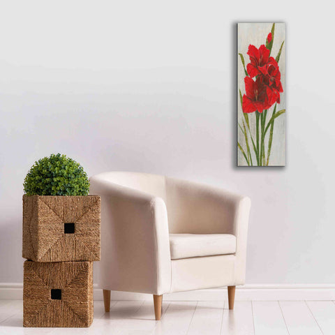Image of 'Red Simplicity I' by James Wiens, Canvas Wall Art,12 x 36