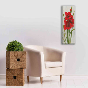 'Red Simplicity I' by James Wiens, Canvas Wall Art,12 x 36