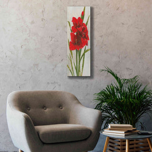 'Red Simplicity I' by James Wiens, Canvas Wall Art,12 x 36