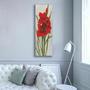 'Red Simplicity I' by James Wiens, Canvas Wall Art,20 x 60