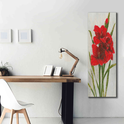 Image of 'Red Simplicity I' by James Wiens, Canvas Wall Art,20 x 60