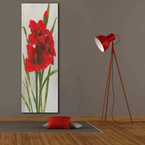 'Red Simplicity I' by James Wiens, Canvas Wall Art,20 x 60