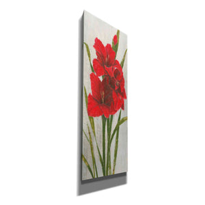 'Red Simplicity I' by James Wiens, Canvas Wall Art,12x36x1.74x0,20x60x1.74x0