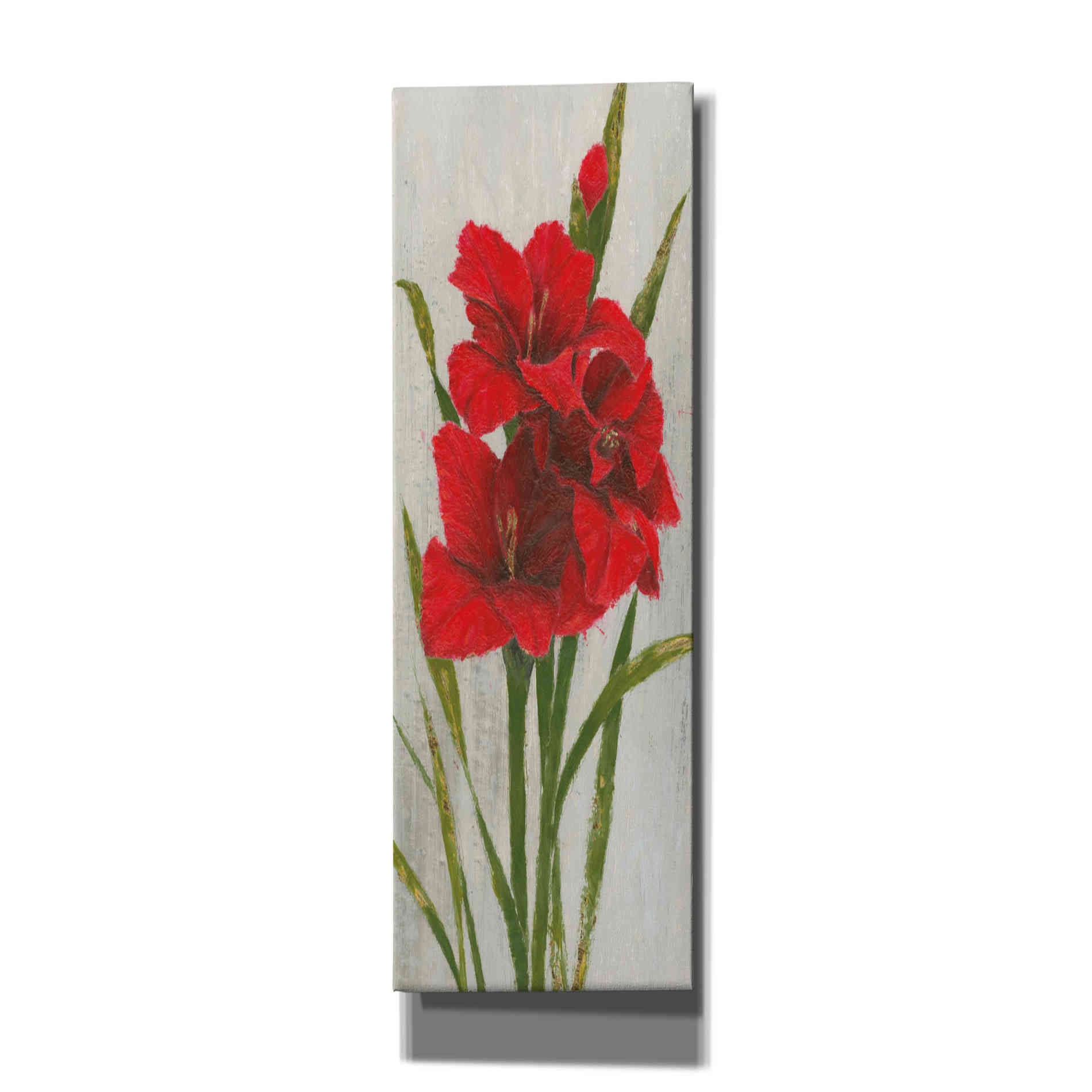 'Red Simplicity I' by James Wiens, Canvas Wall Art,12x36x1.74x0,20x60x1.74x0
