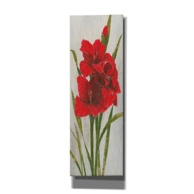 'Red Simplicity I' by James Wiens, Canvas Wall Art,12x36x1.74x0,20x60x1.74x0